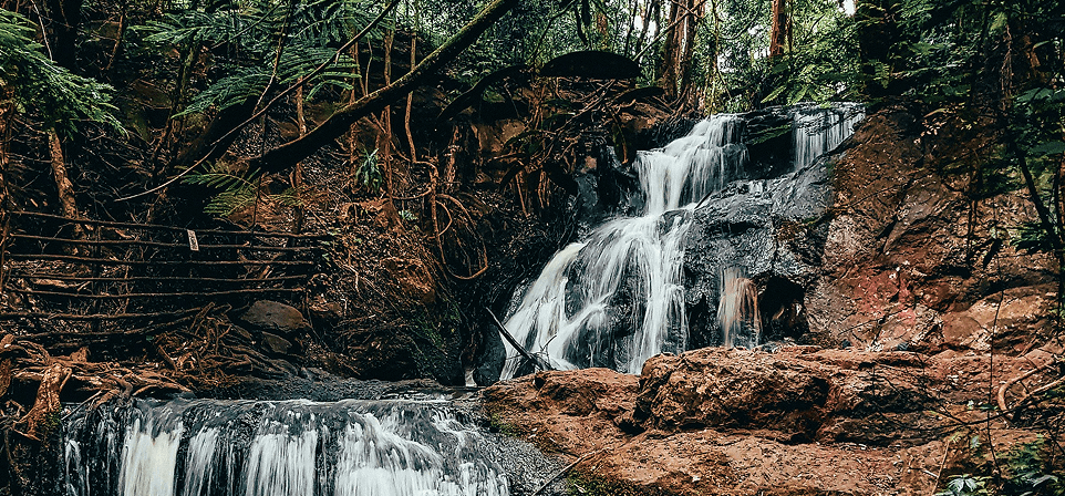 Nairobi Climate Week